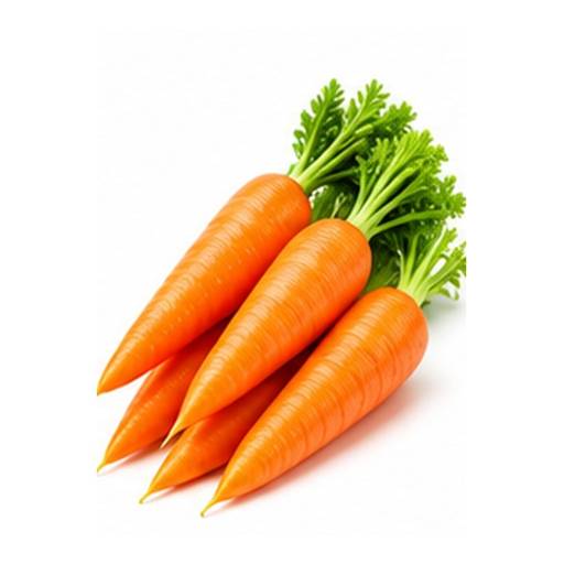 Zanahoria