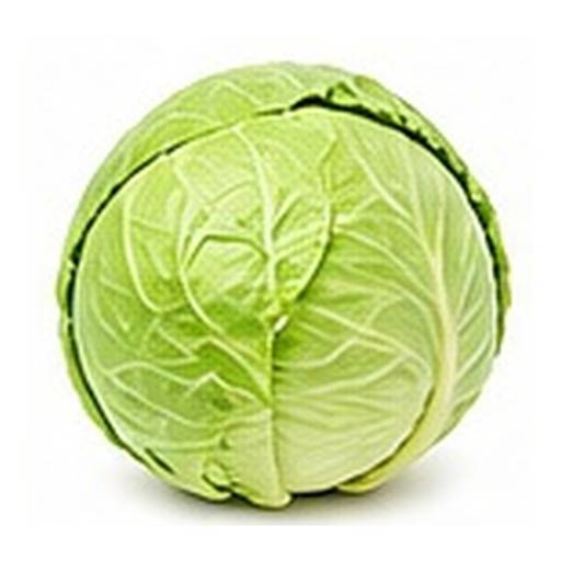 Repollo