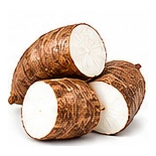 Yuca