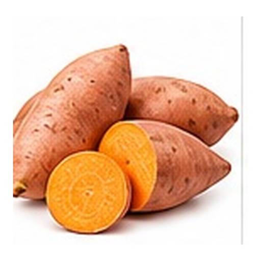 Camote